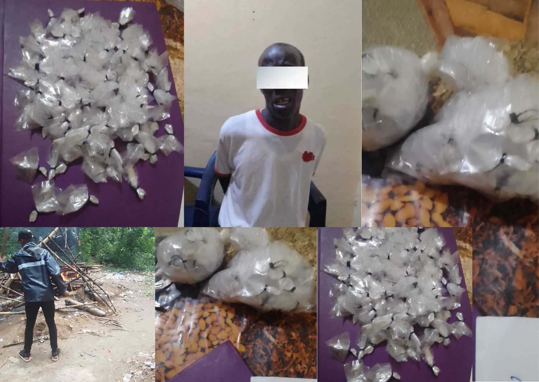 Guibobli | Lutte contre le trafic de stupéfiants